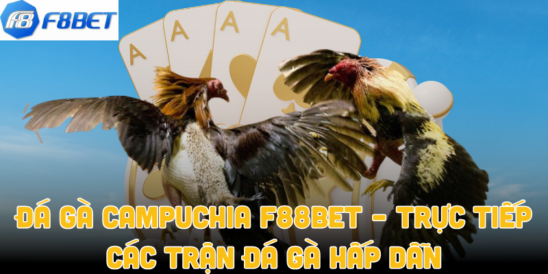 Đá Gà Campuchia F88bet – Trực Tiếp Các Trận Đá Gà Hấp Dẫn