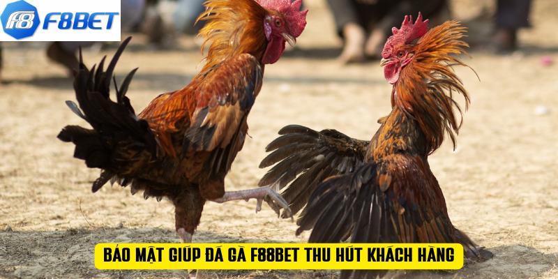 Bảo mật giúp đá gà F88BET thu hút khách hàng