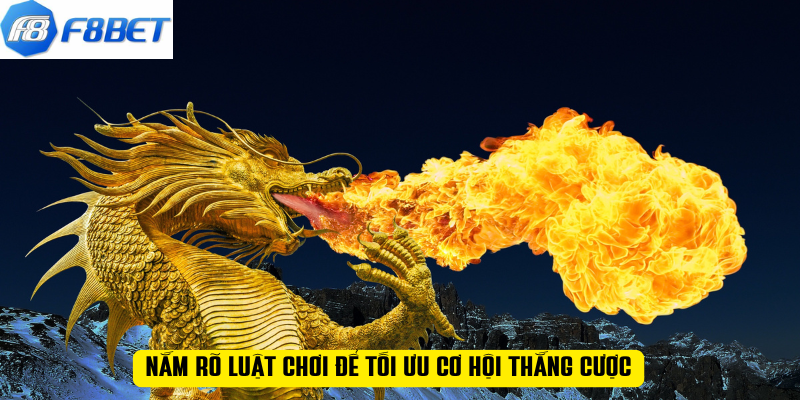 Nắm rõ luật chơi để tối ưu cơ hội thắng cược