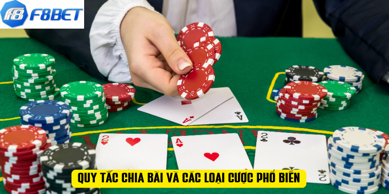 Quy tắc chia bài và các loại cược phổ biến