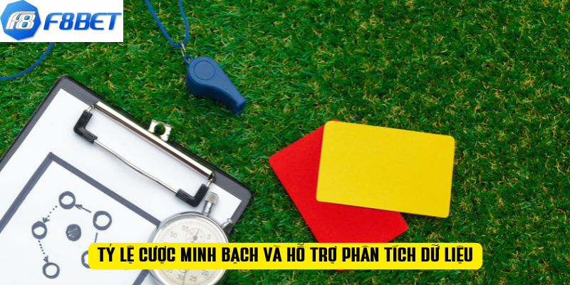 Tỷ lệ cược minh bạch và hỗ trợ phân tích dữ liệu